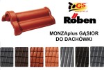 RÖBEN GĄSIOR DO DACHÓWKI MONZAplus