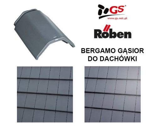 BERGAMO-gasior-do-dachowki.jpg